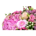 Box růžových květin